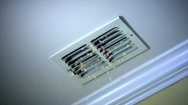 Best Air Duct Cleaning Cost  in Jasper, GA