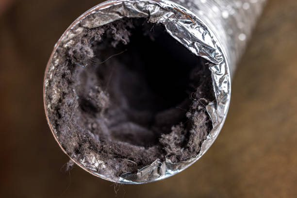 Best Affordable Duct Cleaning Services  in Jasper, GA